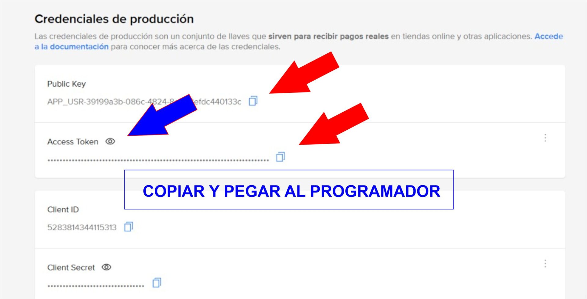 Copiar Public Key y Access Token
