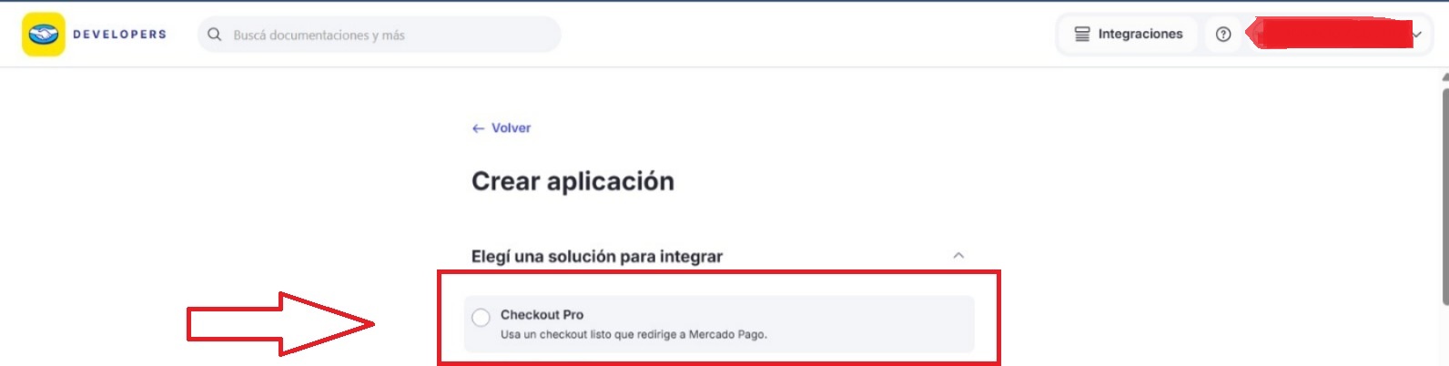 Paso 4: Seleccionar Checkout Pro